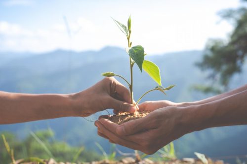 ecología