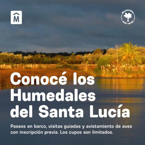 Humedales Santa Lucía