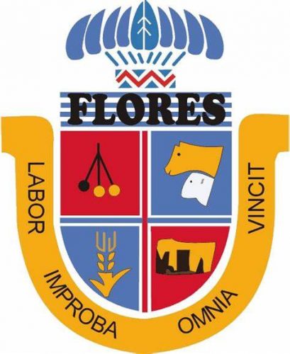 junta departamental de flores