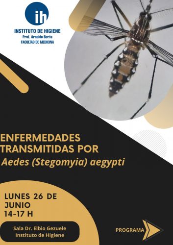 Actividad aedes A