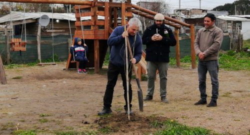 árboles en Nicolich