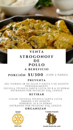 strogonoff a beneficio