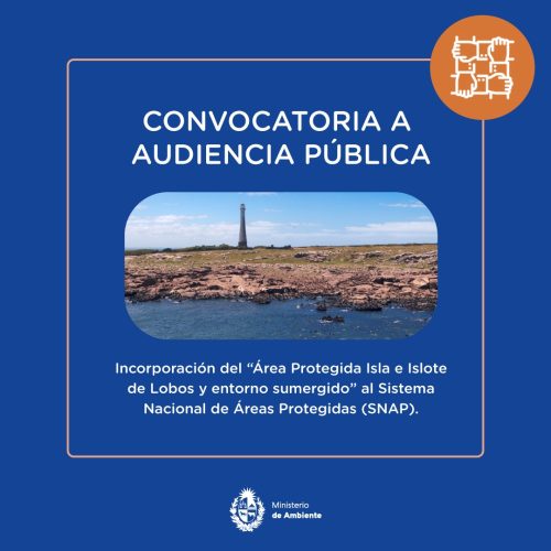 AUDIENCIA PÚBLICA ISLA DE LOBOS