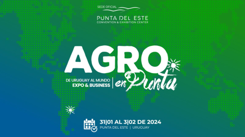 Agro en Punta