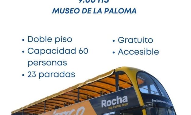 Lanzamiento Bus Turismo en…?