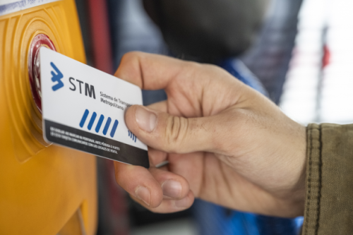 tarjeta STM