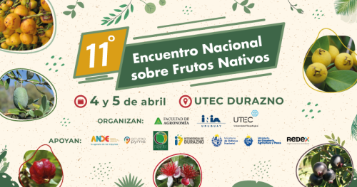 Frutos Nativos