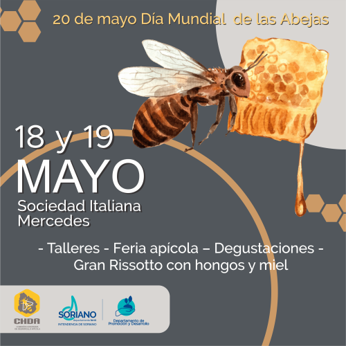 Día Mundial de la Abeja