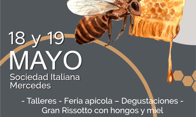 Programa de actividades en el marco del Día Mundial de las Abejas: ¿en dónde será?