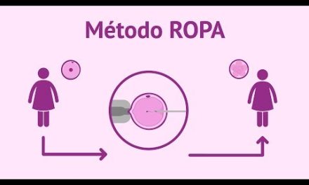 MSP autoriza método de reproducción humana asistida, de Recepción de óvulos de la pareja (“Método Ropa”)