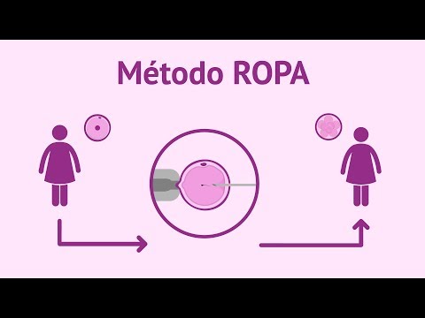 MSP autoriza método de reproducción humana asistida, de Recepción de óvulos de la pareja (“Método Ropa”)