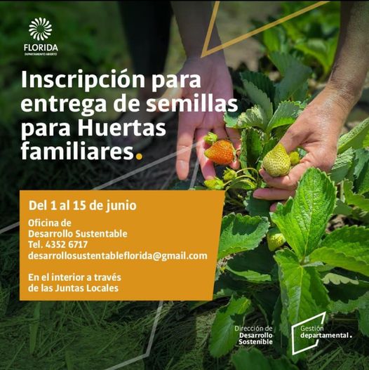 Inscripción para entrega de semillas para Huertas Familiares