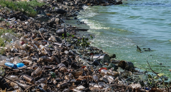 ¿Qué expresó la Cátedra de Derecho Ambiental de la UM sobre el proyecto que incorpora al Código Penal los Delitos contra el Ambiente?