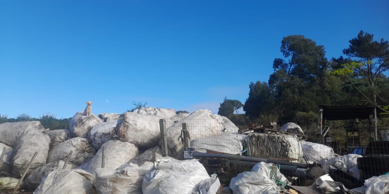 INBA preocupado por situación del vertedero en Cerro Largo donde hay 200 animales sin control