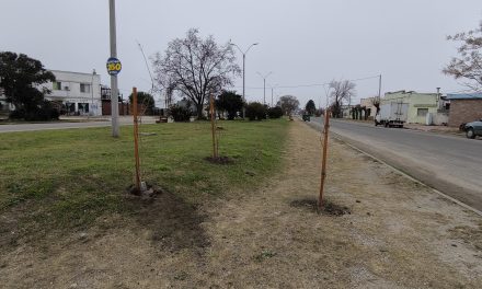 Juan Lacaze: Inició el proceso de remodelación del bulevar Fernández Crespo