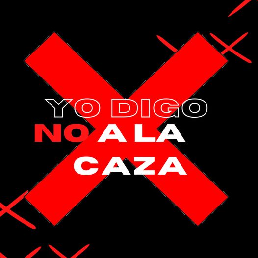 Plataforma Animalista lanza campaña “Yo digo No a la Caza”