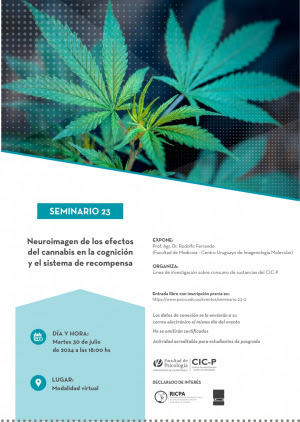 Neuroimagen de los efectos del cannabis en la cognición y el sistema de recompensa