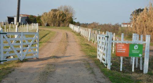 Canelones agua para animales