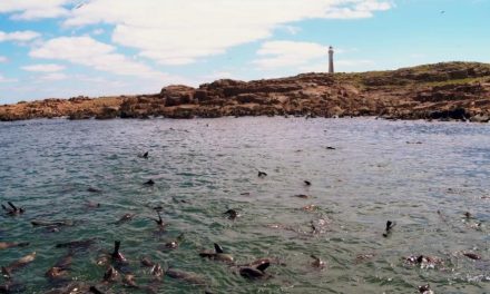 Isla e Islote de Lobos ingresa al Sistema Nacional de Áreas Protegidas