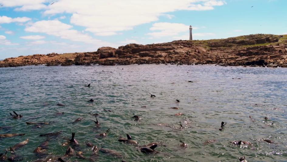 Isla e Islote de Lobos ingresa al Sistema Nacional de Áreas Protegidas