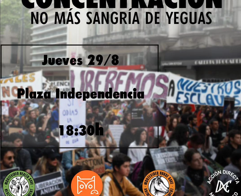 Manifestación contra la sangría de yeguas: ¿cuándo y dónde se hará?