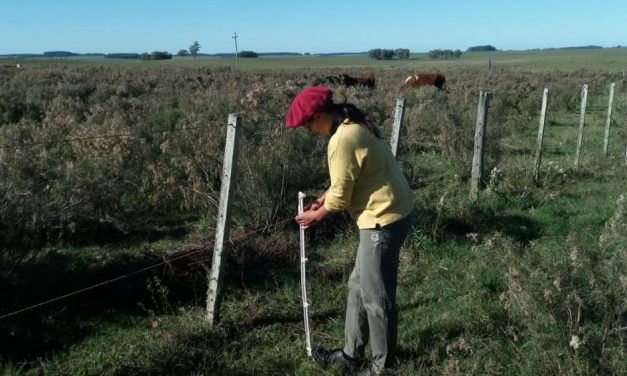 FCS: Explotación y trabajo agrario asalariado