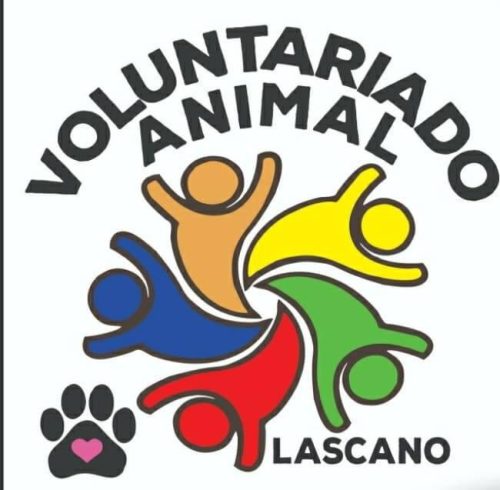 voluntariado animal Lascano