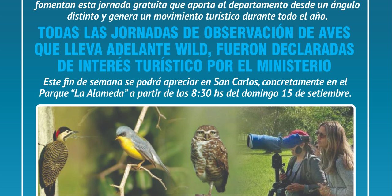 Avistamiento de aves: ¿dónde se llevará a cabo?