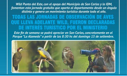 Avistamiento de aves: ¿dónde se llevará a cabo?