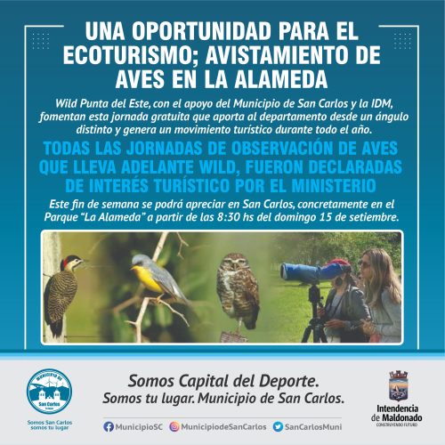 avisamiento de aves