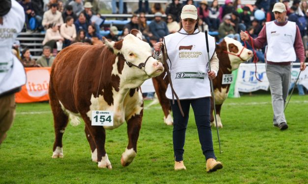 Gran Cabaña UTU demuestra nivel genético de excelencia con cinco campeones en Expo Prado