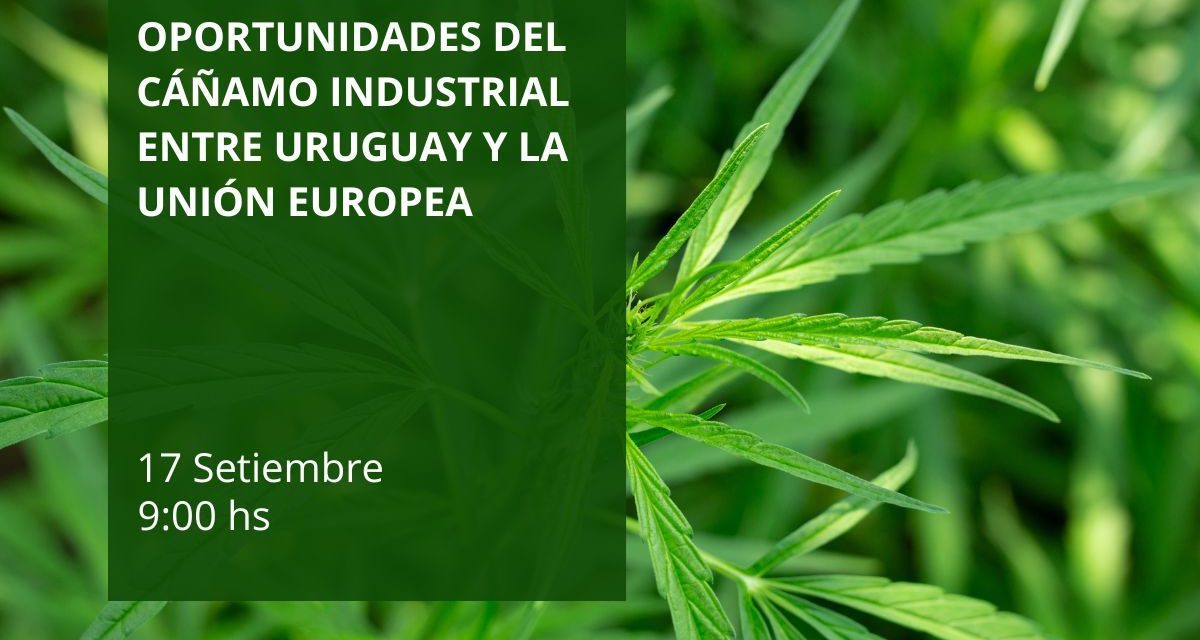 Seminario Oportunidades del Cáñamo Industrial entre Uruguay y la Unión Europea