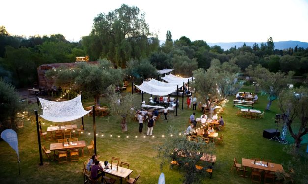 Bodega Trapiche brilla en la escena internacional con premio en Best of Mendoza’s Wine Tourism