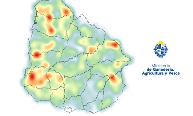 ¿Cuáles fueron los departamentos con más superficie arrendada en 2023?