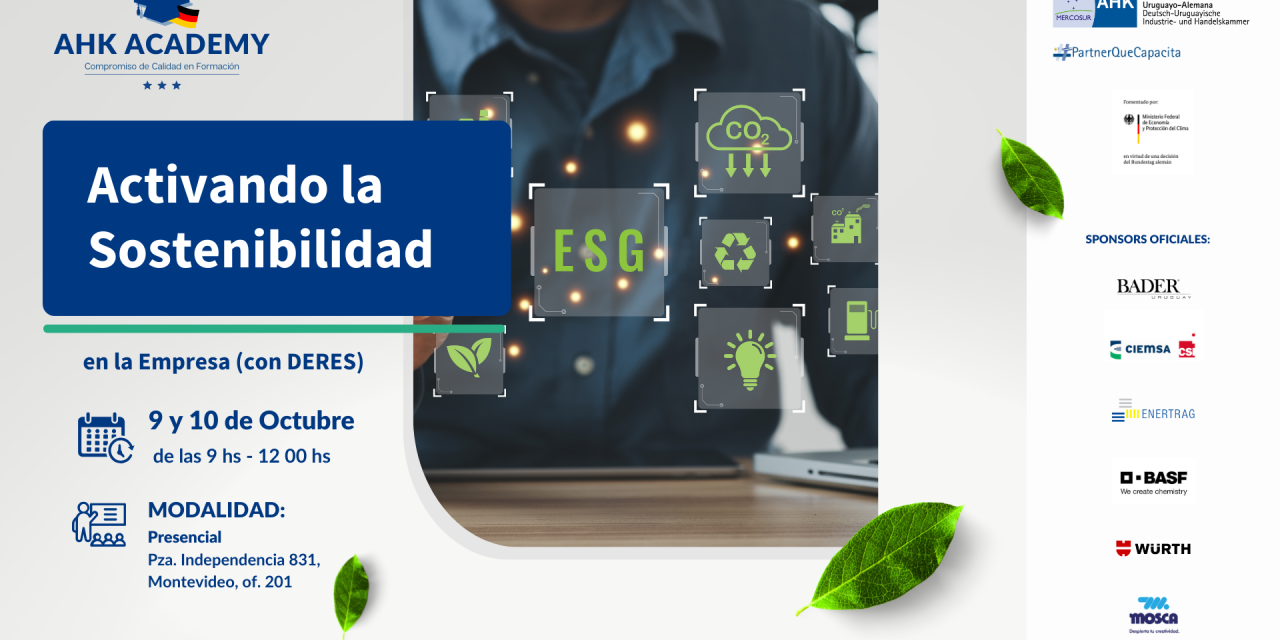 Activando la Sostenibilidad en la Empresa