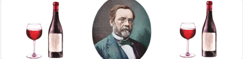 Louis Pasteur.jpg