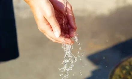 Entrega de premios concurso educación ambiental “¿A dónde va el agua?”