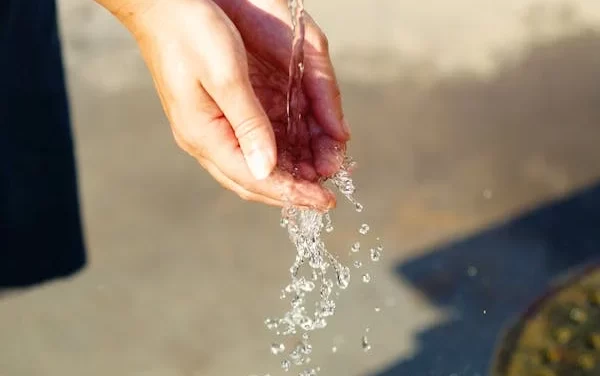 Entrega de premios concurso educación ambiental “¿A dónde va el agua?”