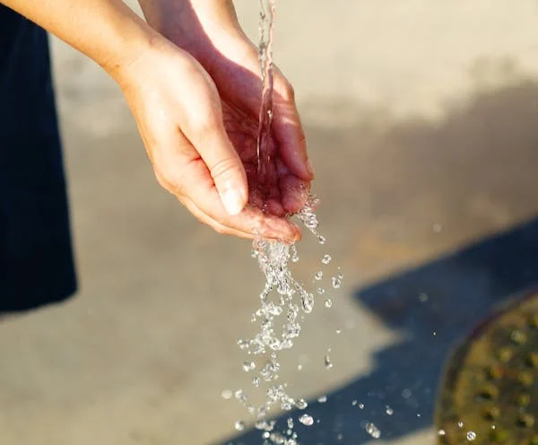 Entrega de premios concurso educación ambiental “¿A dónde va el agua?”