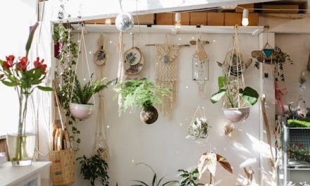 Cómo cultivar plantas en espacios pequeños o apartamentos