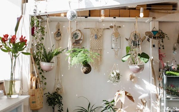 Cómo cultivar plantas en espacios pequeños o apartamentos