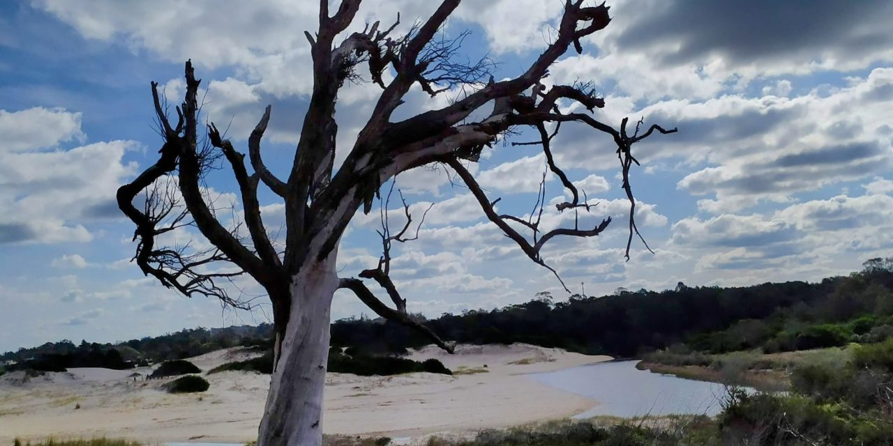 Intendencia de Canelones premió a los concursantes del concurso de fotos Capturando imágenes de nuestro patrimonio natural