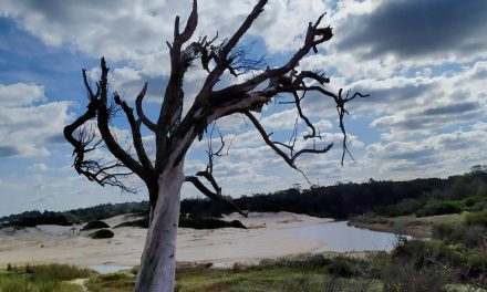 Intendencia de Canelones premió a los concursantes del concurso de fotos Capturando imágenes de nuestro patrimonio natural