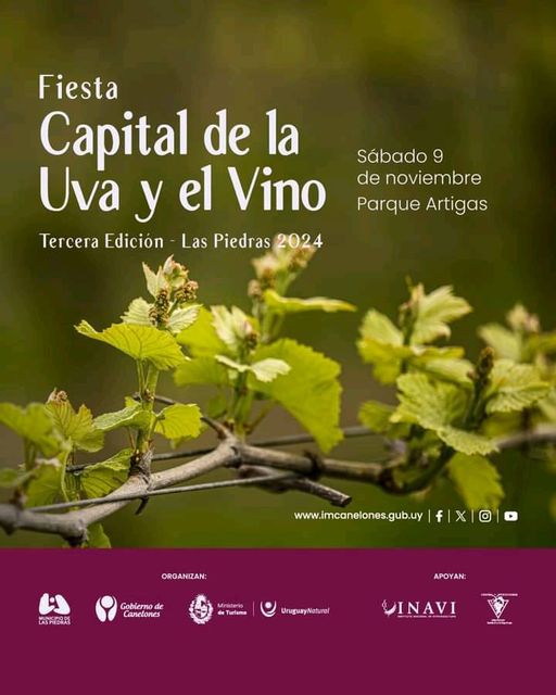 Fiesta Capital de la Uva y el Vino