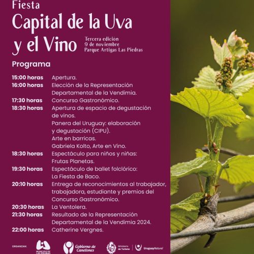 Programa Fiesta Uva y el Vino