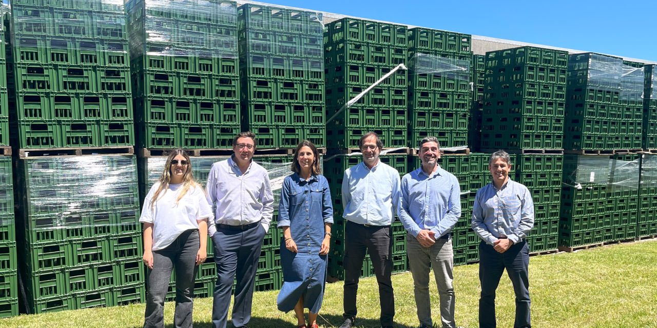 Fabricarán casilleros de cerveza con 340 toneladas de plástico reciclado