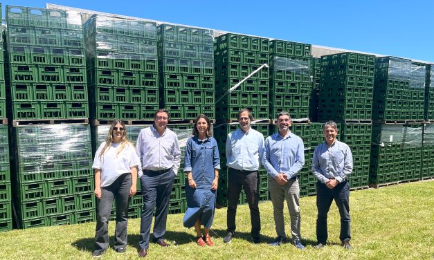 Fabricarán casilleros de cerveza con 340 toneladas de plástico reciclado