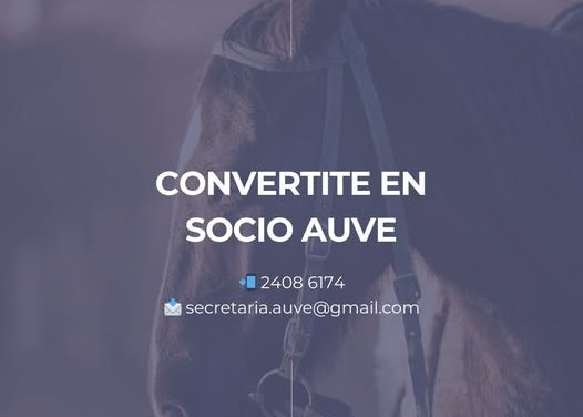 Socio de AUVE