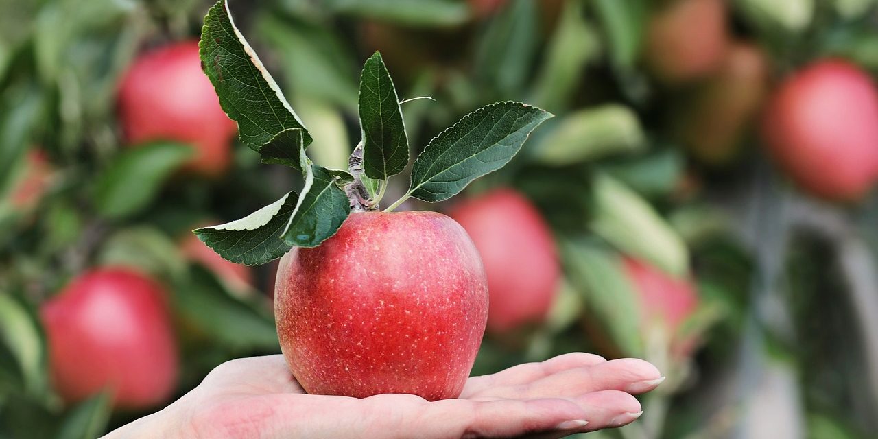 FCS: Taller de palabras contadas con mujeres rurales y del agro