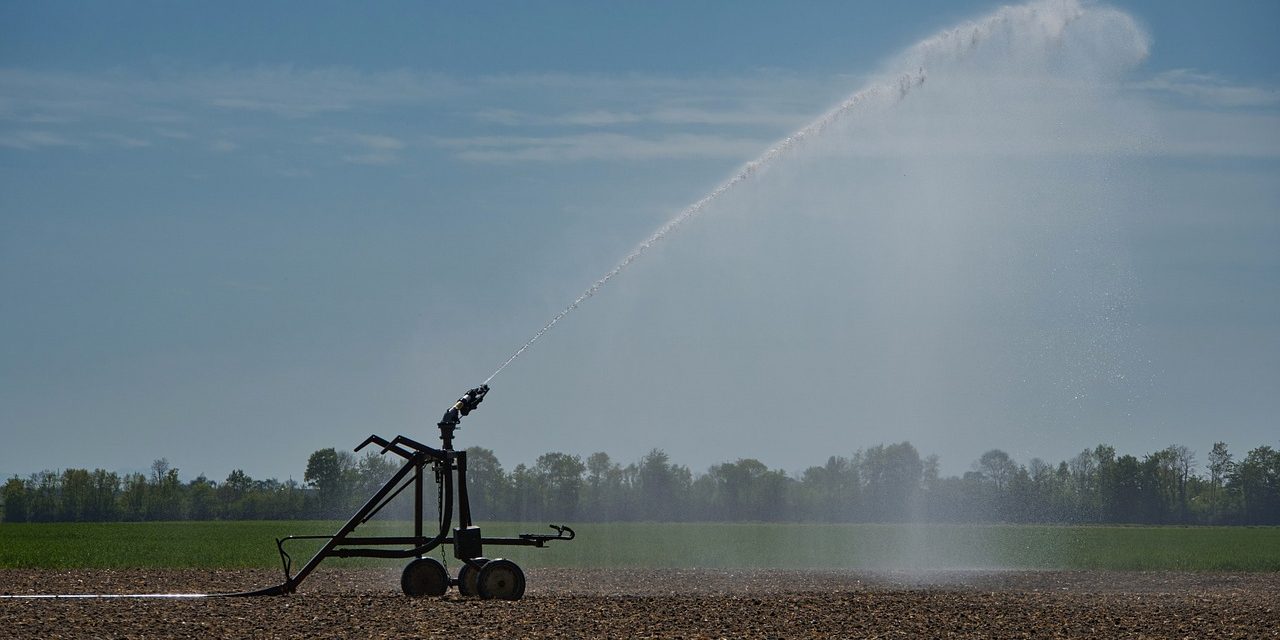 Avances para un Plan Estratégico para el Uso del Agua en la Producción Agropecuaria